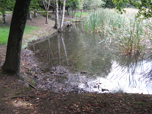 06a. March 2017. Eutrophication . Cambridge Tree Trust